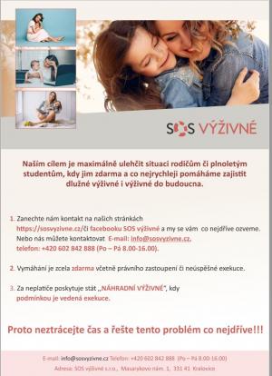 Dlužné výživné - pomoc s vymáháním 1
